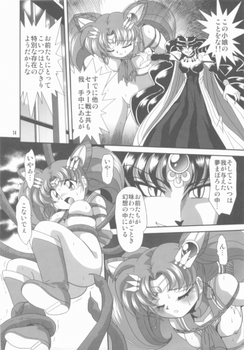 (C75) [Thirty Saver Street 2D Shooting (Maki Hideto, Sawara Kazumitsu)] Silent Saturn SS vol. 11 (Bishoujo Senshi Sailor Moon) - page 13