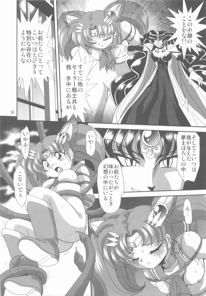 (C75) [Thirty Saver Street 2D Shooting (Maki Hideto, Sawara Kazumitsu)] Silent Saturn SS vol. 11 (Bishoujo Senshi Sailor Moon) page 13 full
