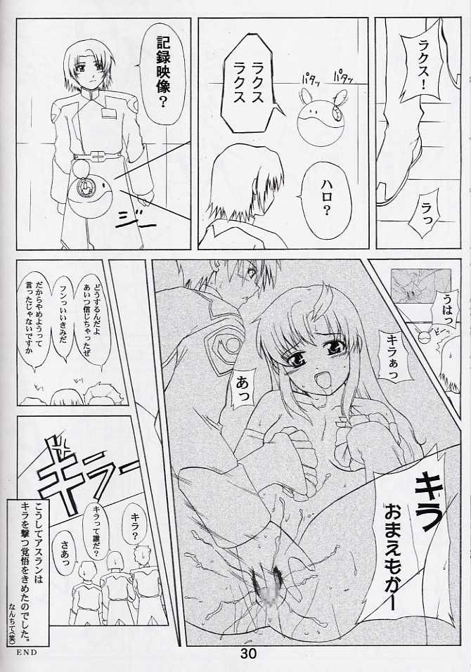 (C64) [Neo Frontier (Takuma Sessa)] My Milky Way 3rd (Gundam SEED) page 27 full