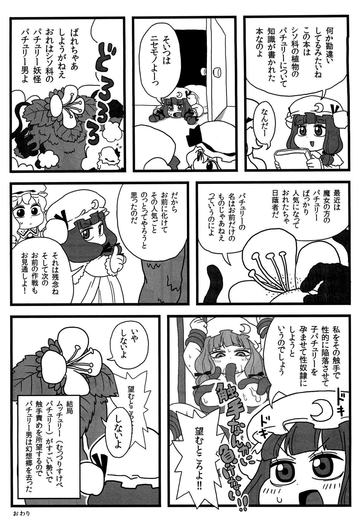 (Aka no Hiroba 8) [Surudoiman no Irutokoro (Norihito)] Patchouli ga Ippai (Touhou Project) page 12 full