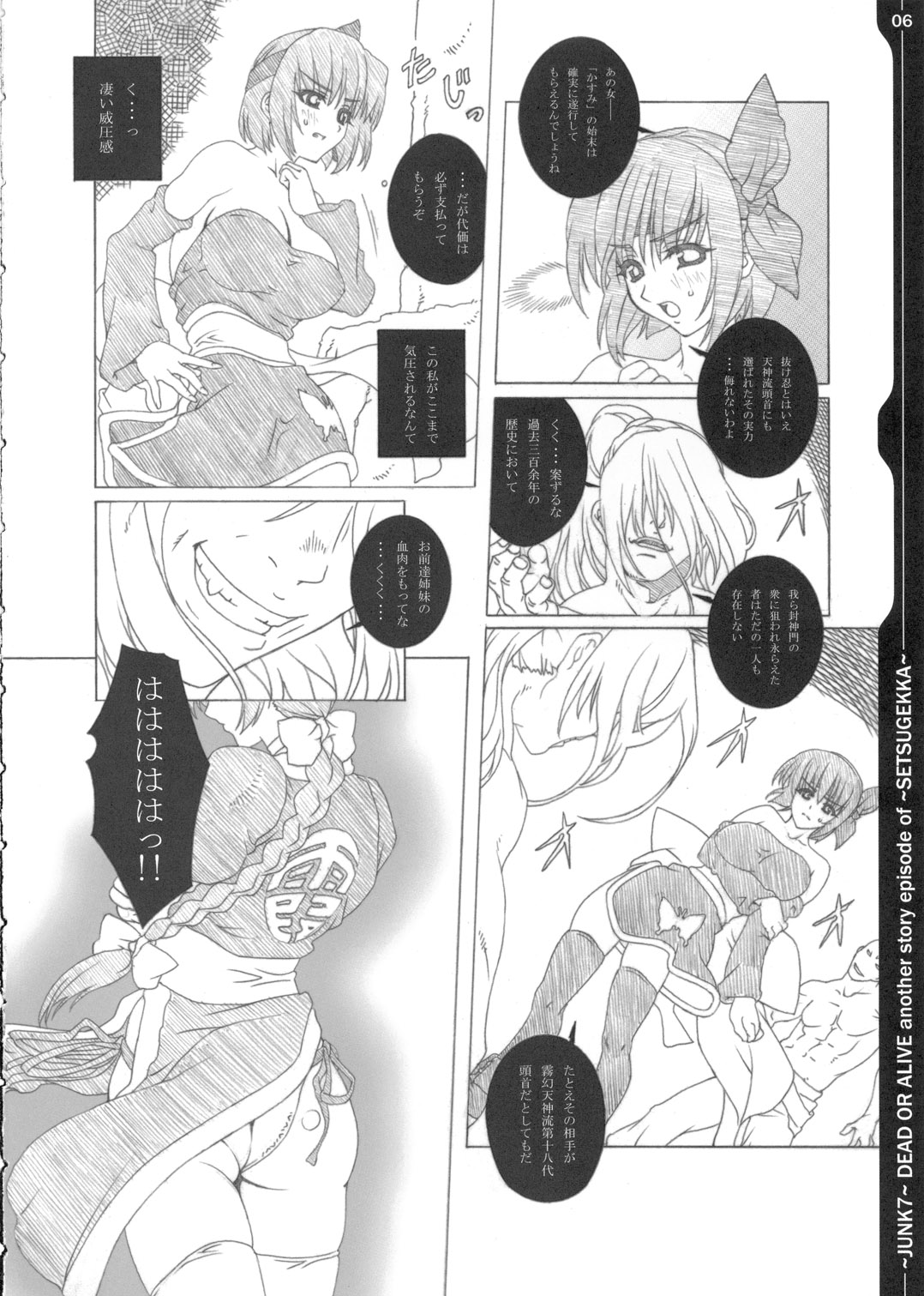 (C69) [Chill-Out (Fukami Naoyuki)] Junk 7 (Dead or Alive, Samurai Spirits) page 5 full