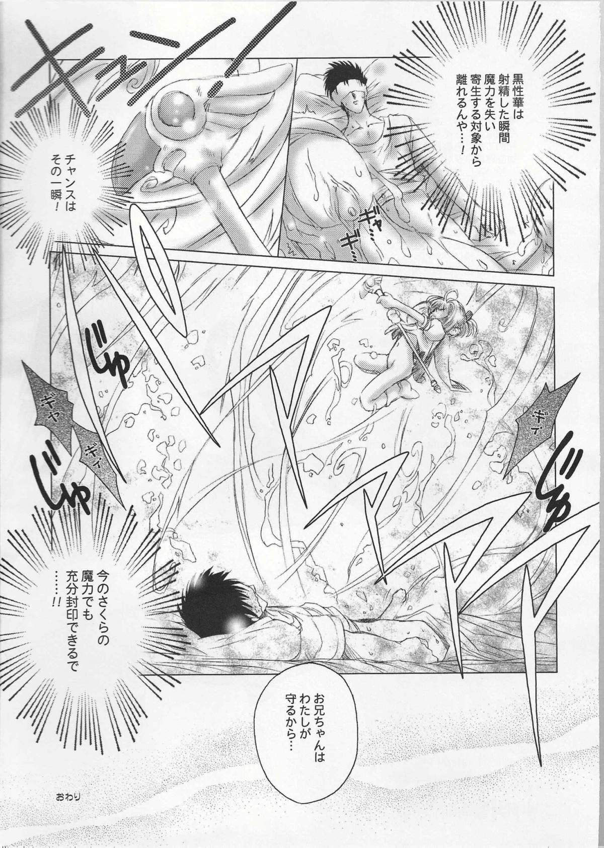 (C64) [DiGiEL (Yoshinaga Eikichi)] Black Cherry (Cardcaptor Sakura) page 21 full