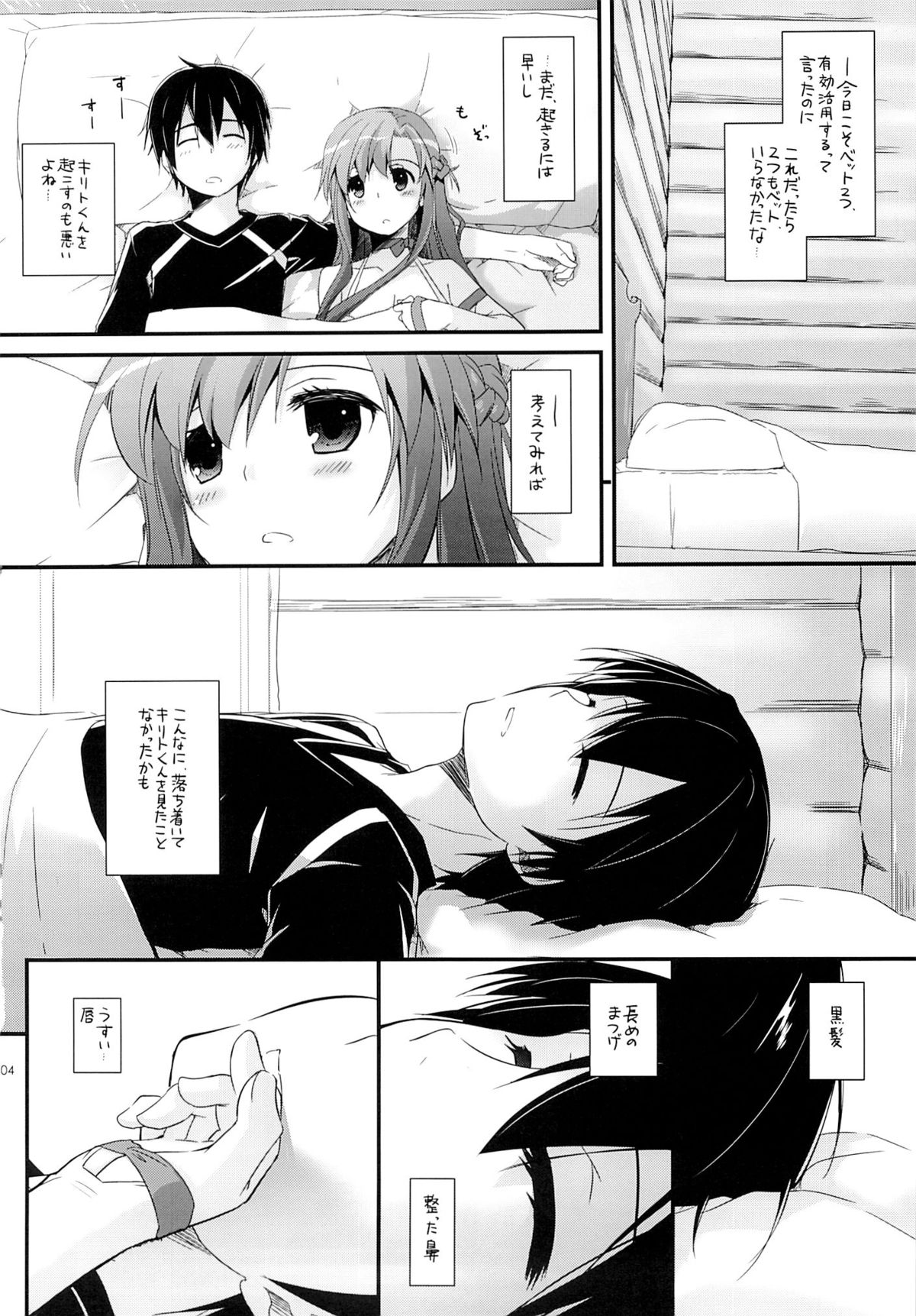 (C85) [Digital Lover (Nakajima Yuka)] D.L. action 83 (Sword Art Online) page 3 full