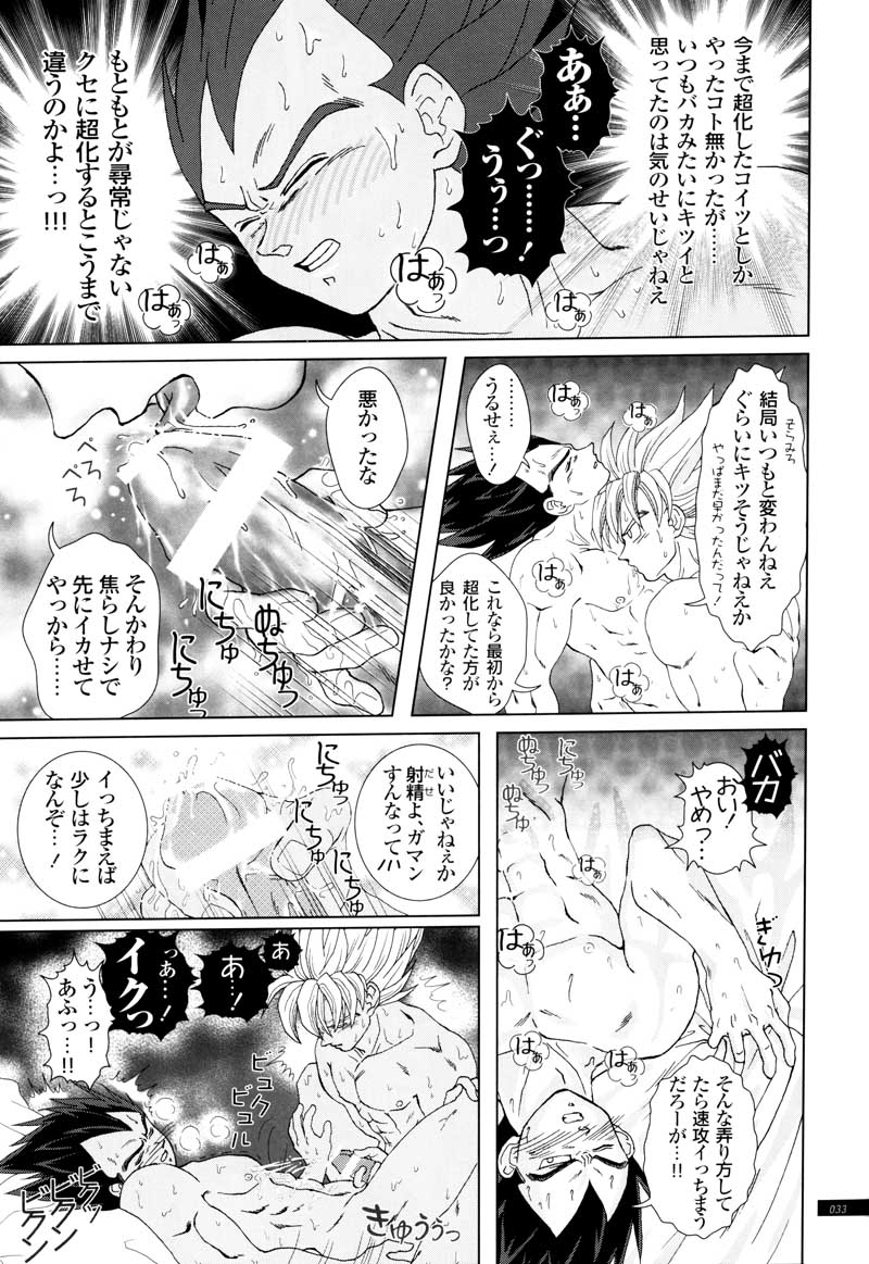 [GREFREE (ema)] Sairokua (Blaze, Voice, +A) (DRAGON BALL Z) page 31 full