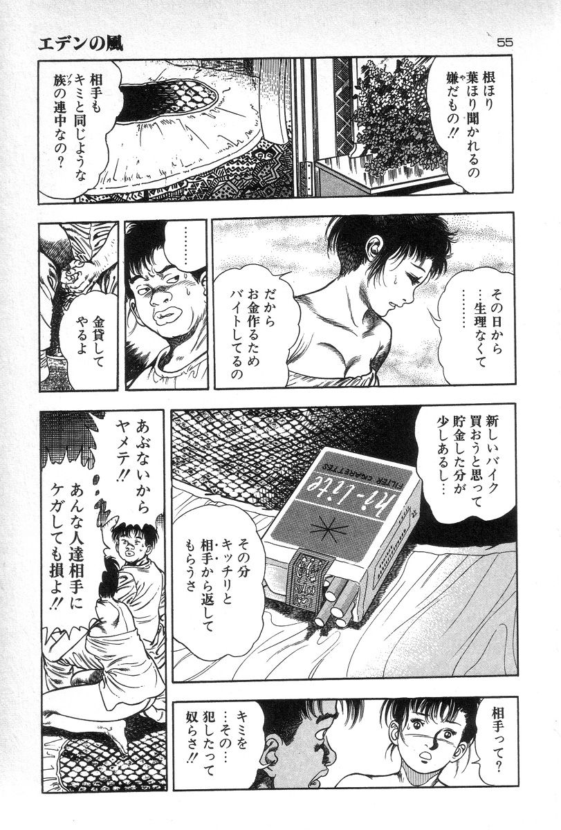 [Maeda Toshio] Eden no Kaze page 57 full