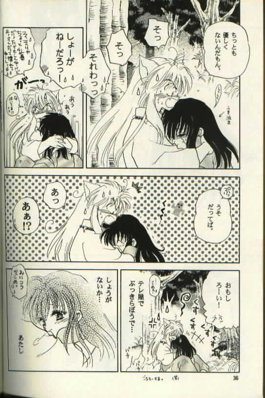 [Totsuzen Kikakutou] Aidaro!? Ai (Inuyasha) page 20 full