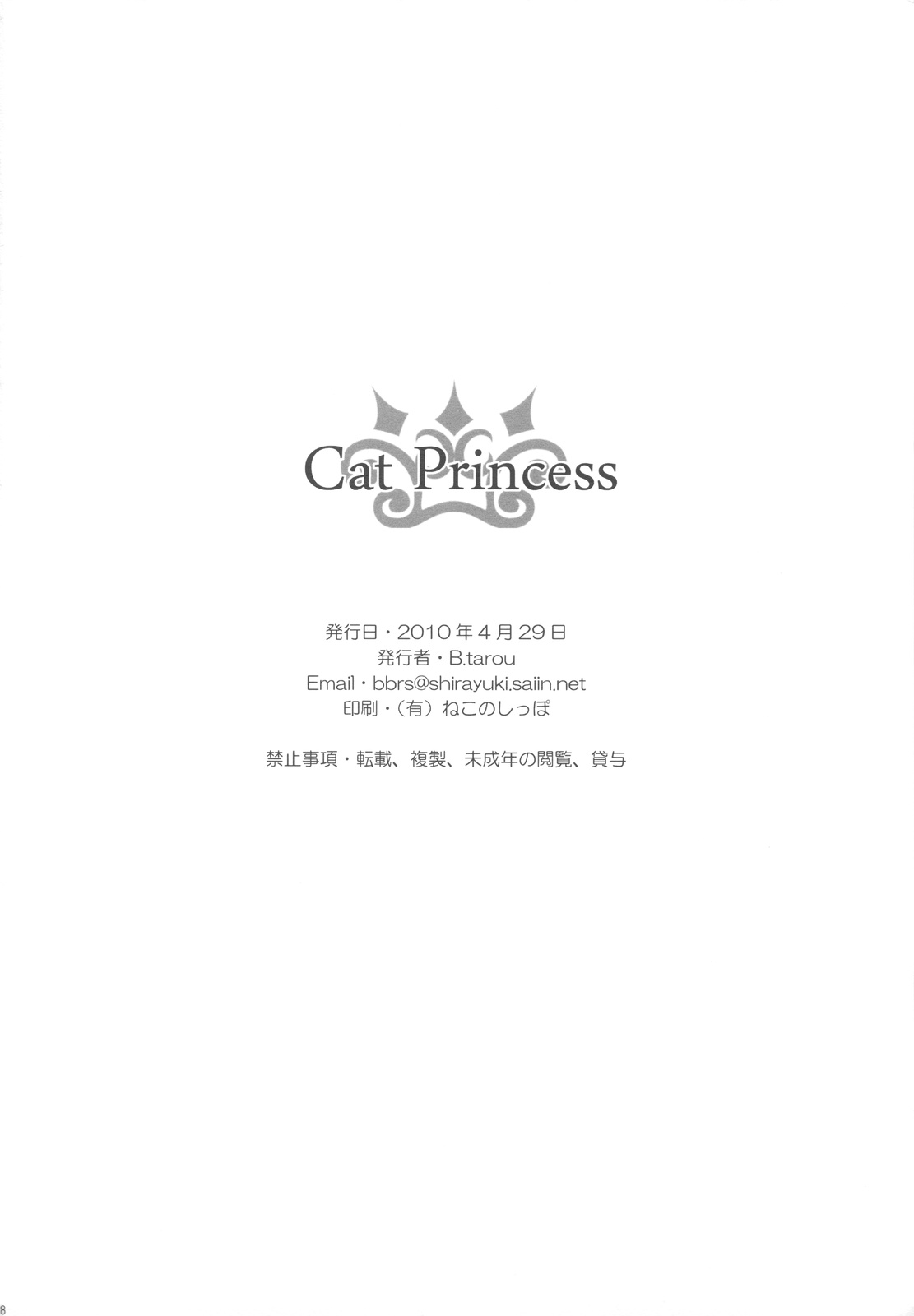 (COMIC1☆4) [Bakuhatsu BRS. (B.Tarou)] Cat Princess (Final Fantasy Gaiden) page 28 full