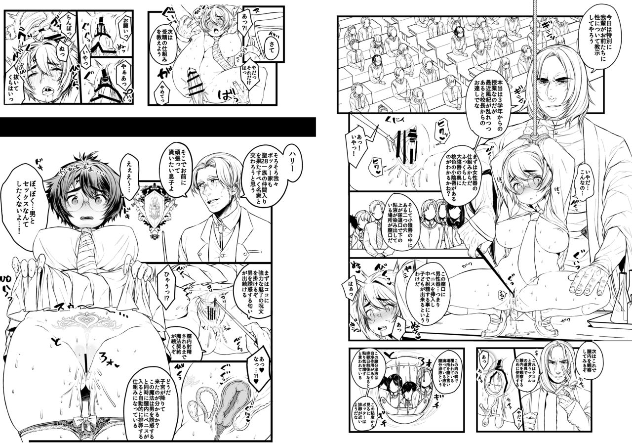 (C93)[Ichikabachika (Ojigi)] 愛の妙薬準備号・改訂版 (Harry Potter) [Digital] page 27 full