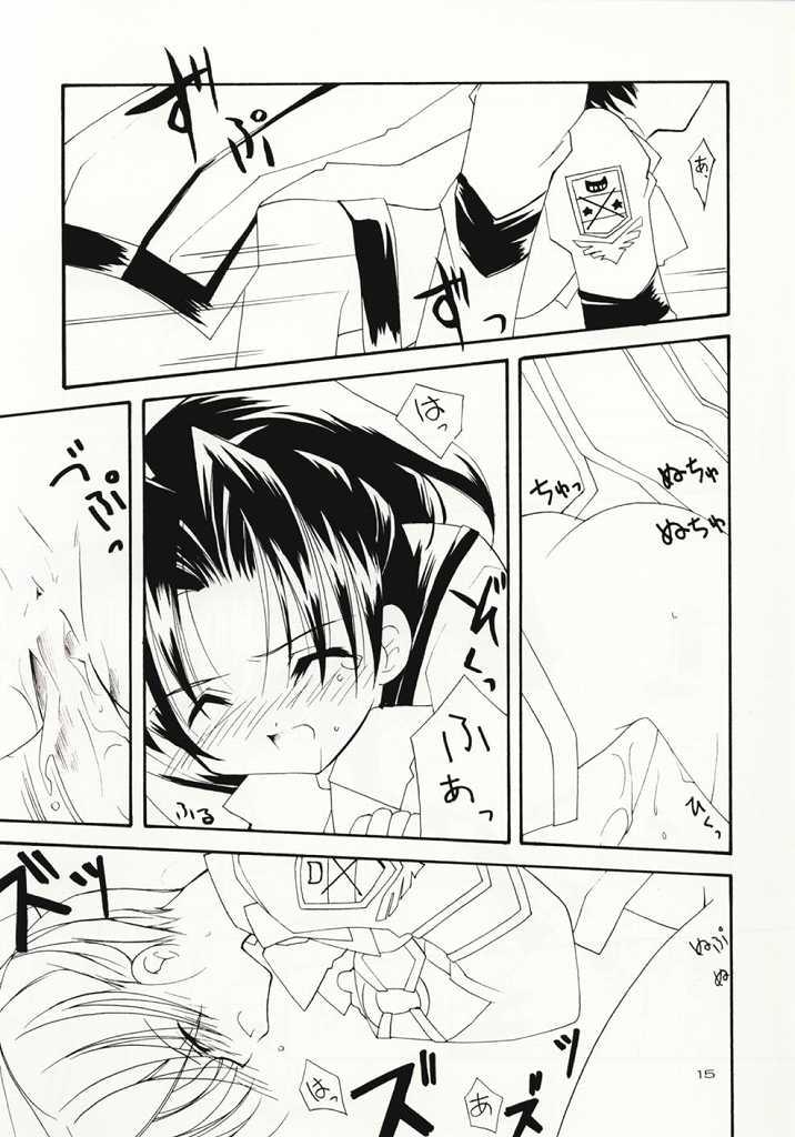 [Hikami Oukoku (Minazuki Haruka)] BASIC (Gunparade March) page 14 full