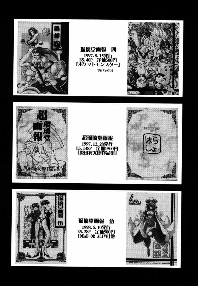 [U-A Daisakusen / Lapislazuli=corporation] Ruridou Gahou X (vol.10) (Dead or Alive) page 13 full