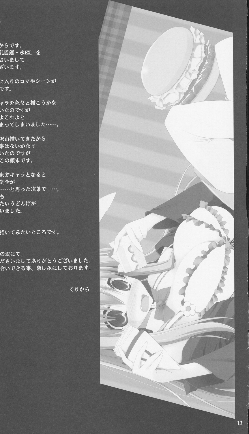 (C79) [TOYBOX, Kujira Logic (Kurikara, Kujiran)] Gensoukyou Chichi Zukan - Ei EX (Touhou Project) page 12 full