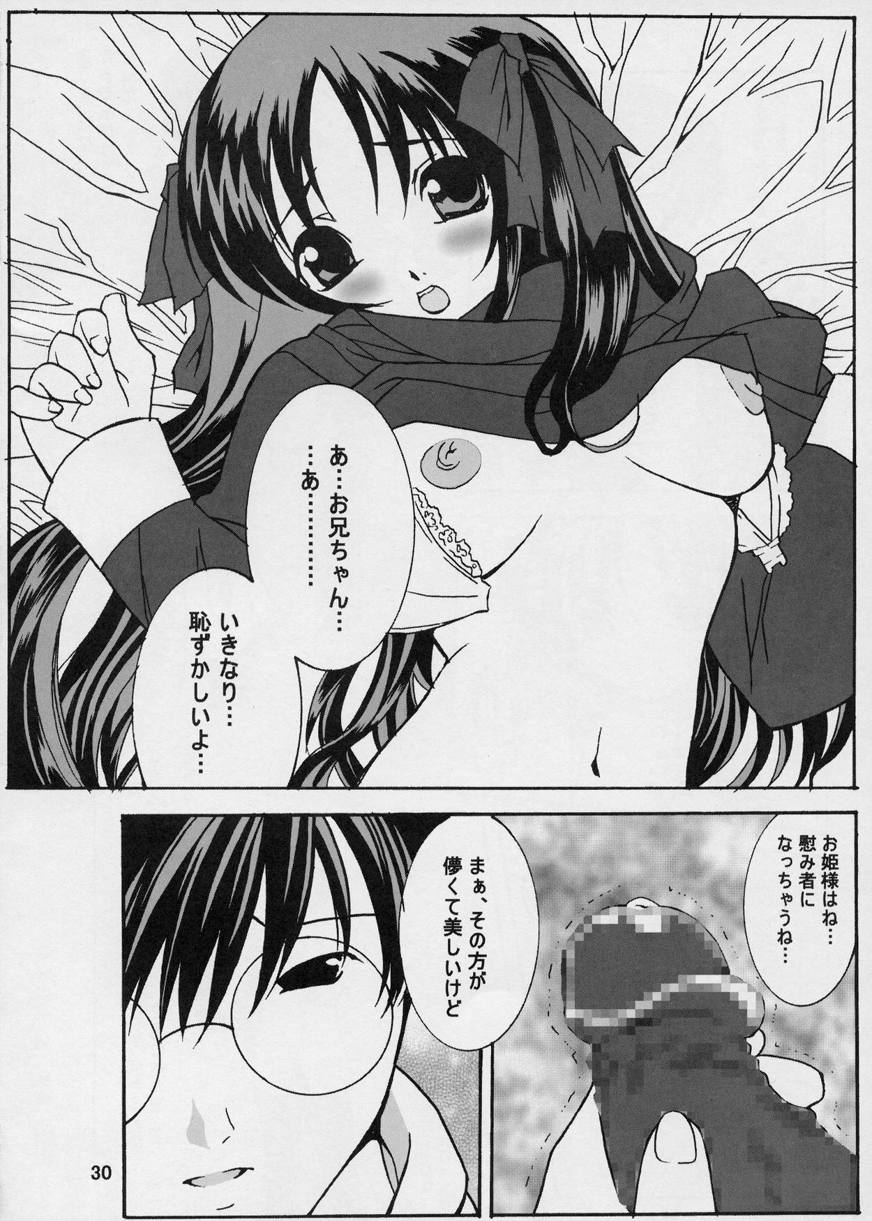 (CR33) [Maricyan-FC (Ginseidou, Kouno Shintarou)] Momerubura (Tsukihime) page 30 full