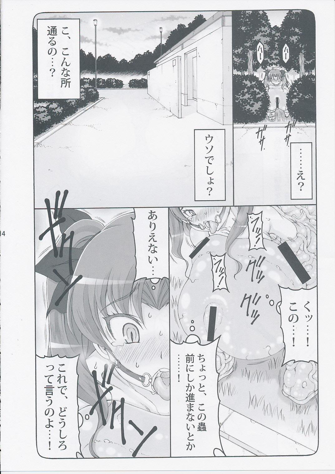 (C87) [Abarenbow Tengu (Izumi Yuujiro)] Kotori 11 (Fate/stay night) page 13 full