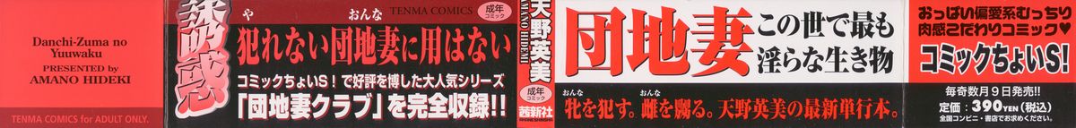 [Hidemi Amano] Danchizuma no Yuuwaku page 4 full