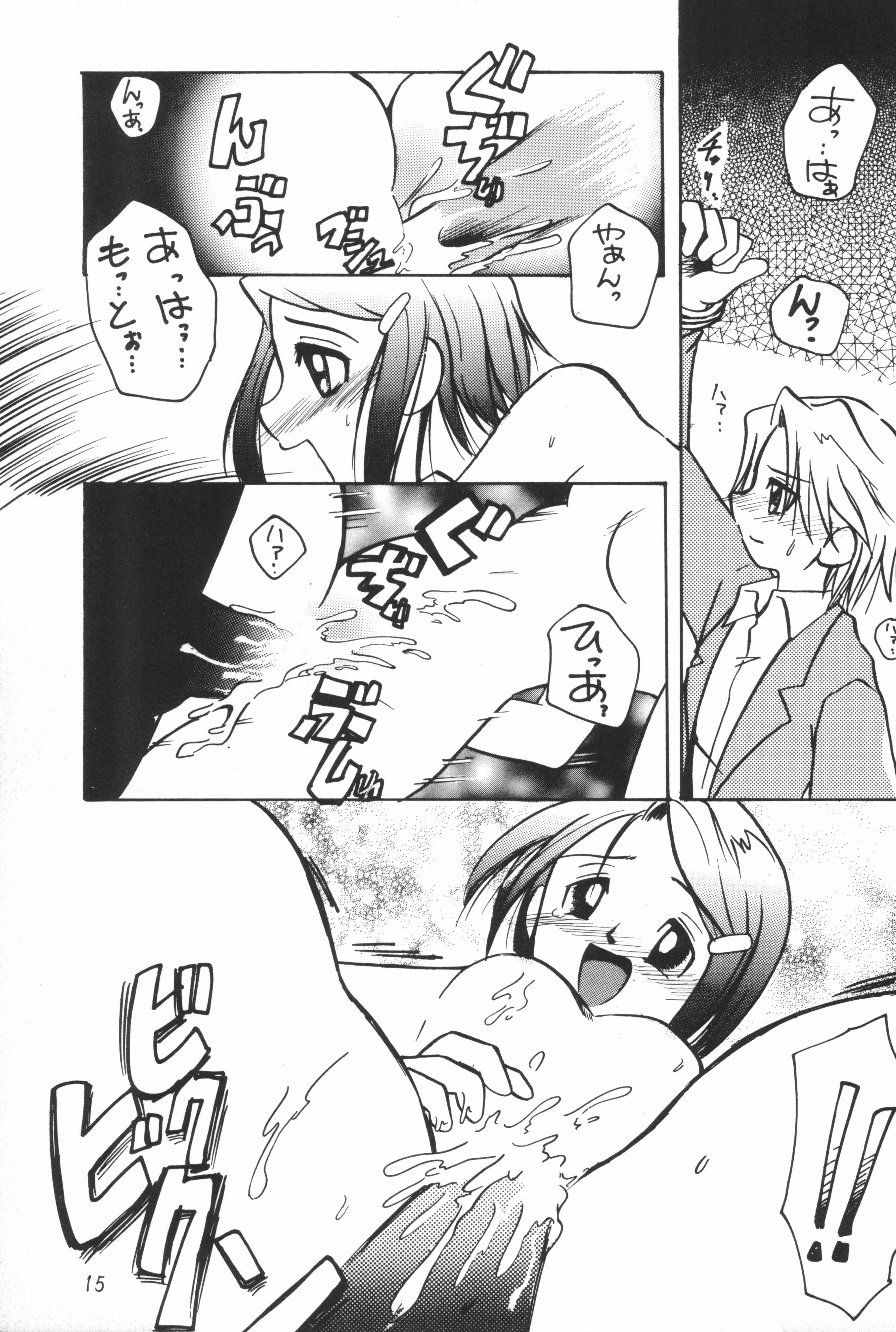 (C61) [Bikkuri Gyouten (Umino Dozaemon)] Crazy Love 2 (Digimon Adventure 02) page 17 full