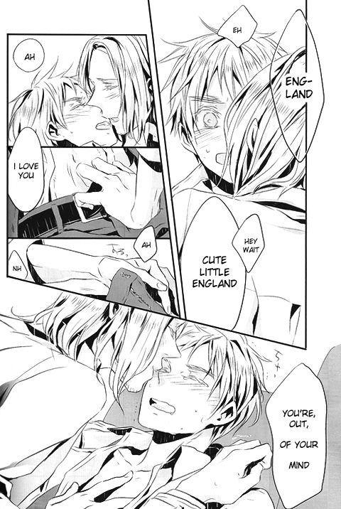 [★ (Komugiko)] Itoshii Hito wa Madoromi no Naka ni (Axis Powers Hetalia) {English] [Incomplete] page 21 full