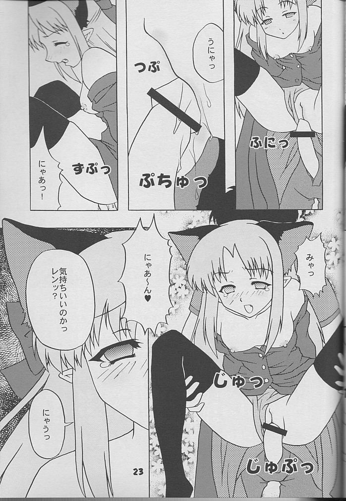 [Studio Black Cats (Tsumori (AZR) Minato)] Black Cats 14 Hanten Kuroneko Musume (Tsukihime) page 22 full