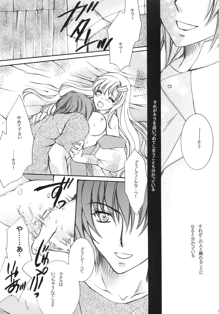 (C70) [LOVE ME DO (Imidas Nakamura, Satou Chiezou)] When You Wish Upon A Star (Kidou Senshi Gundam SEED) page 20 full