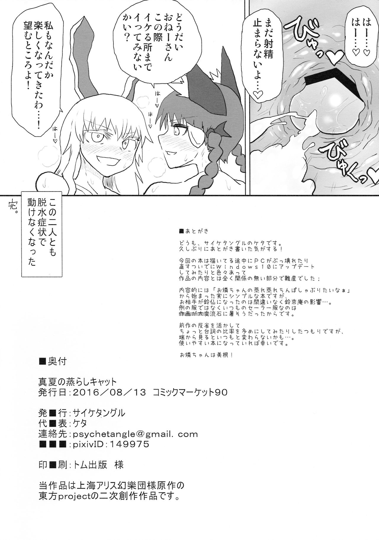 (C90) [Psychetangle (Keta)] Manatsu no Murashi Cat (Touhou Project) page 18 full