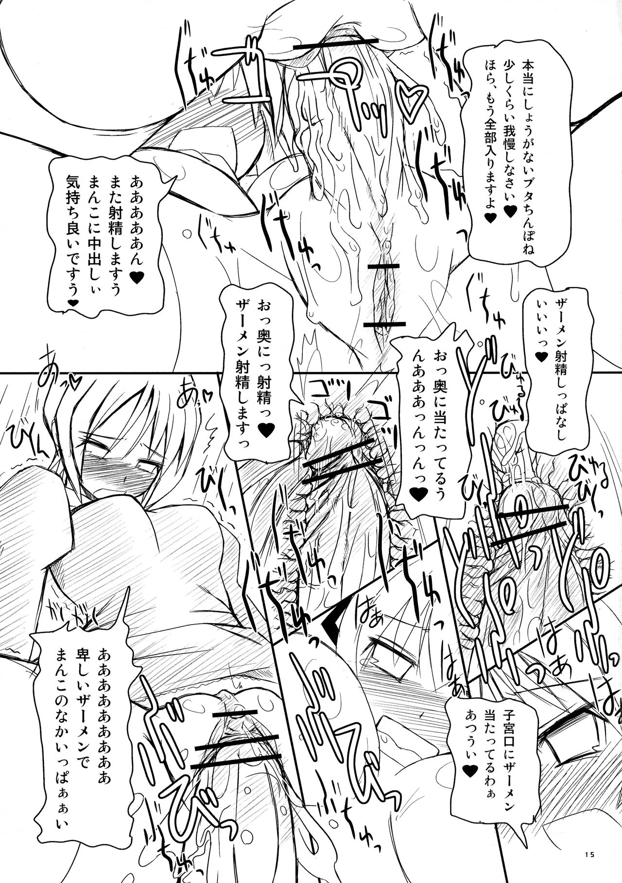 (C72) [Kaiteisinden (Rentaichou)] Mabi Tama 2 (Mabinogi) page 15 full