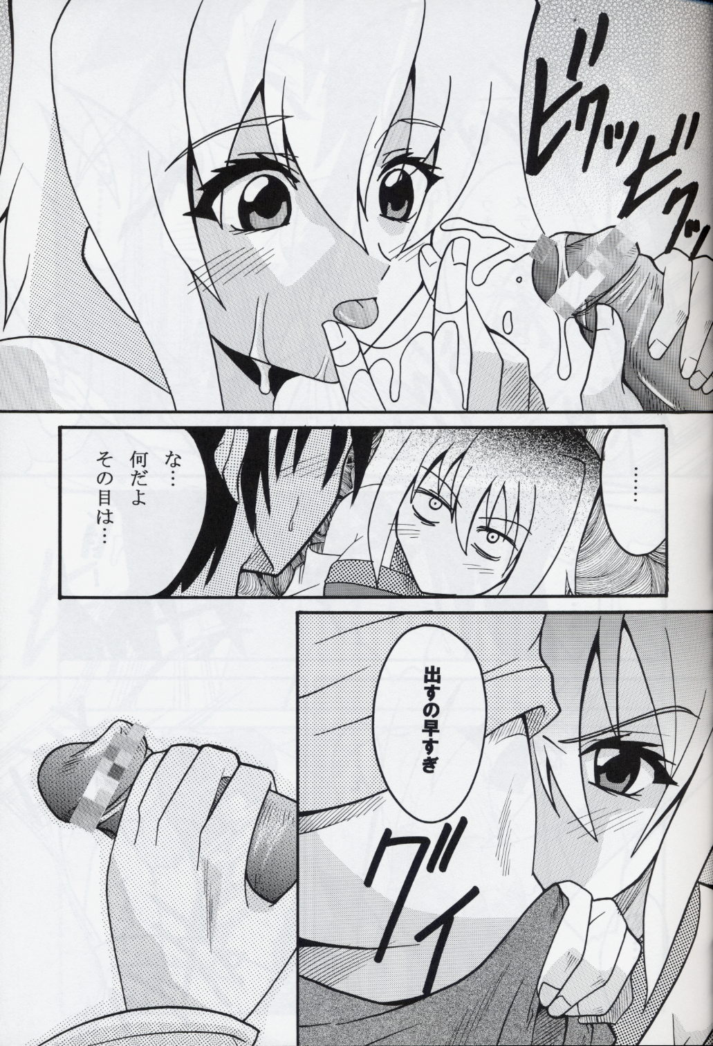 [St. Rio (Kitty, Ishikawa Ippei)] COSMIC BREED 4 (Gundam SEED DESTINY) page 12 full