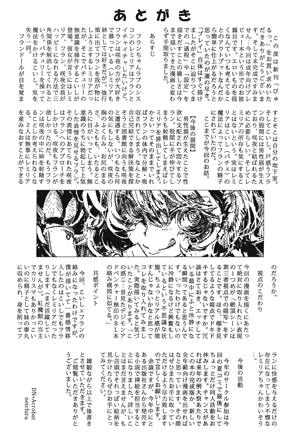 (C84) [DN+Acrobat (Neichiru)] Byuru. (Touhou Project) [Chinese] [芙想恋翩个人汉化] page 12 full