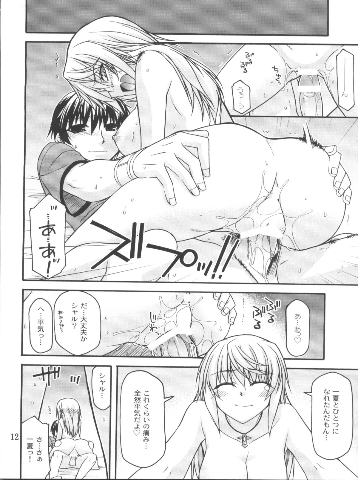 (COMIC1☆5) [CRIMSON GROUND (Miyashiro Sousuke)] Schwarzer Rafale (Infinite Stratos) page 11 full