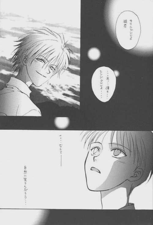 [Zaougumi (Zaou Taishi)] Lost Sheep (Neon Genesis Evangelion) page 3 full