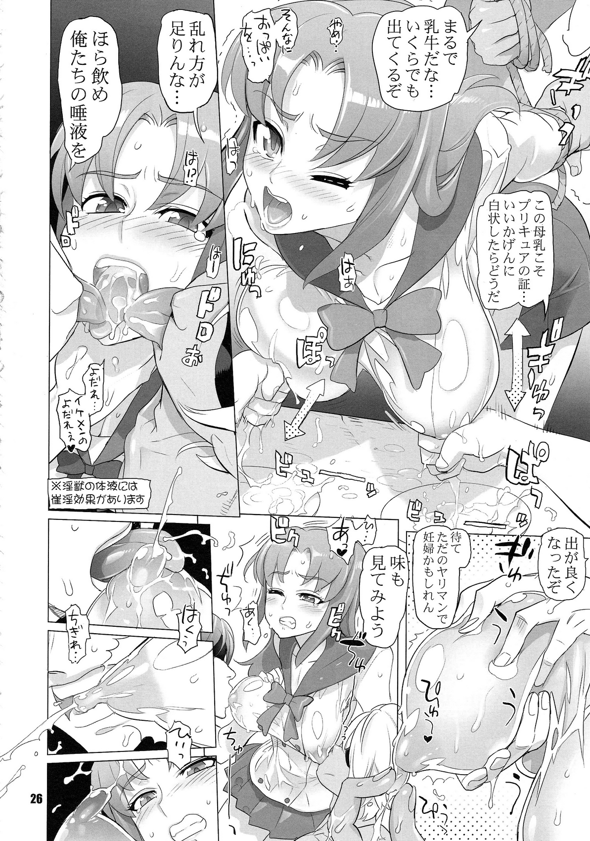 (C87) [Digital Accel Works (INAZUMA.)] INNOCENT IONANIE (HappinessCharge Precure!) page 25 full