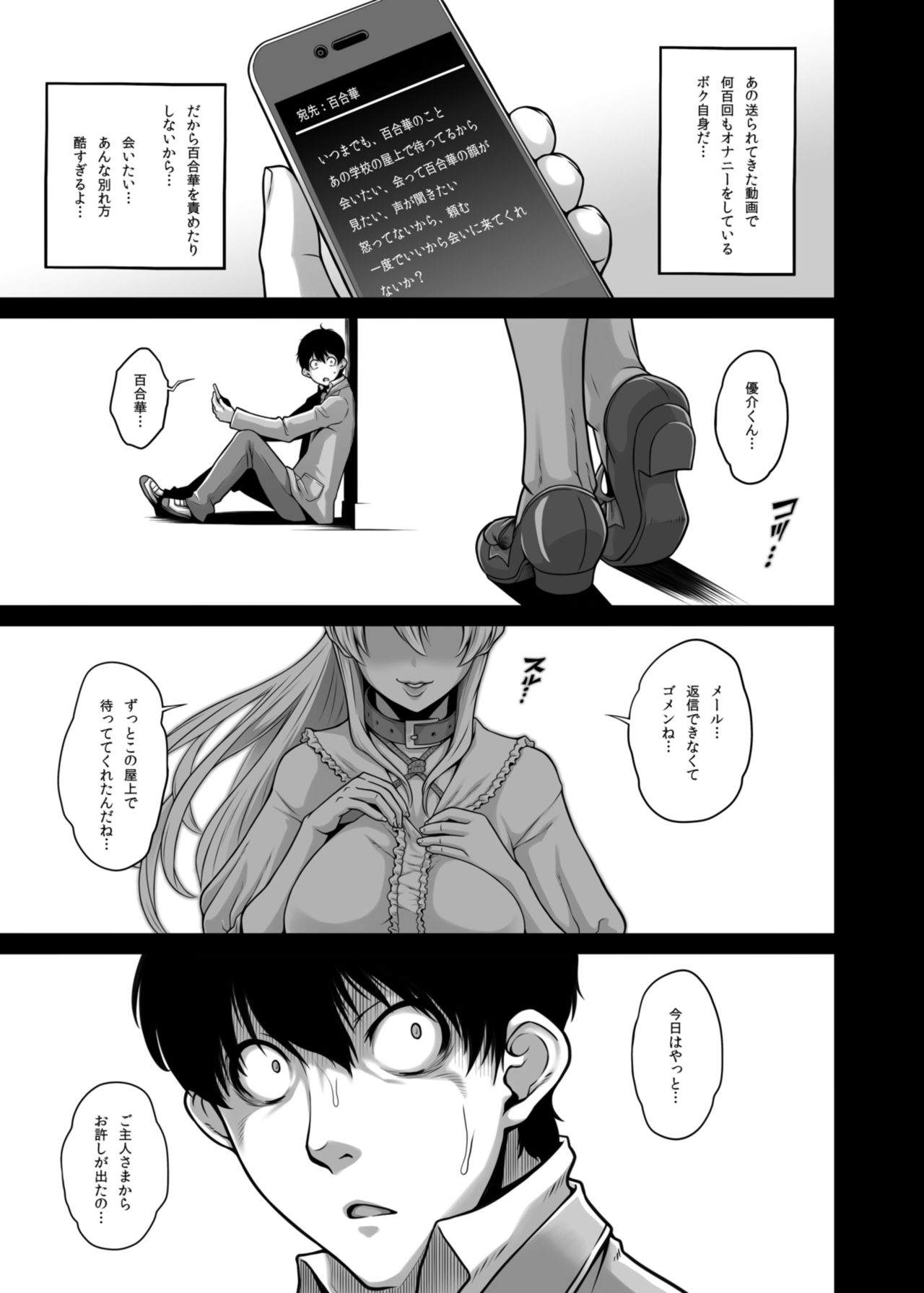 [Butagoya (Kemigawa)] Daraku Reijou Hakoiri Ojou-sama Netorare Choukyou Kiroku [Digital] page 24 full