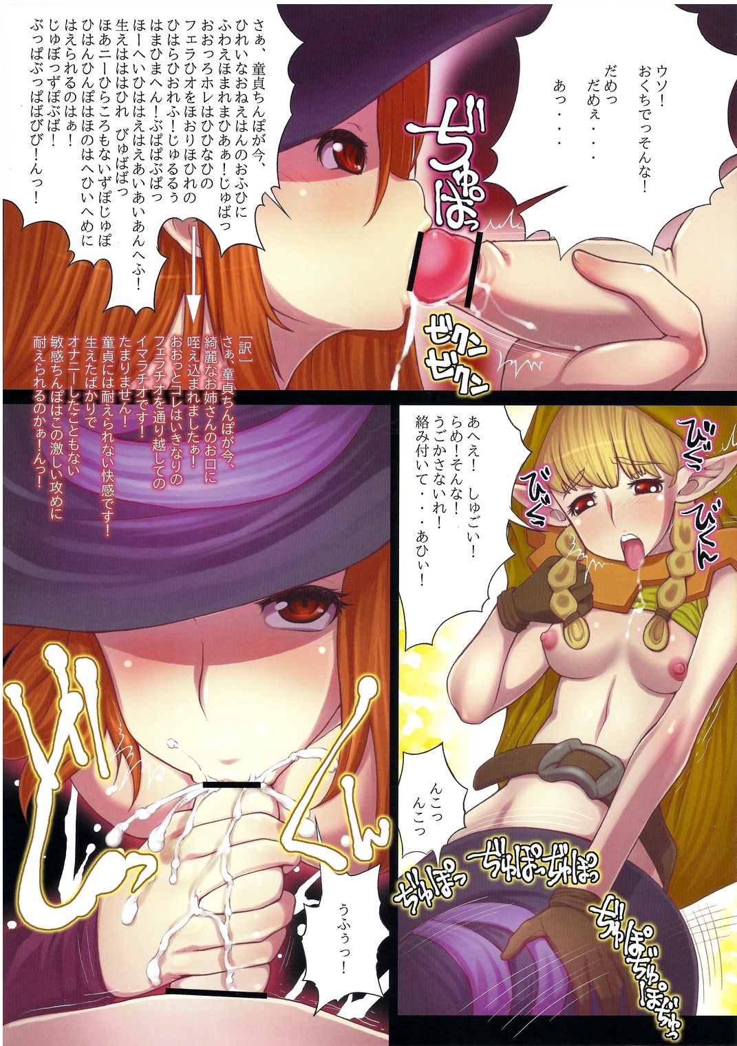 (C81) [Tsujimo ga Machi ni Yattekita!!! (Tsujizen)] Erotica Crown - Bitch na Majo (Dragon's Crown) page 6 full