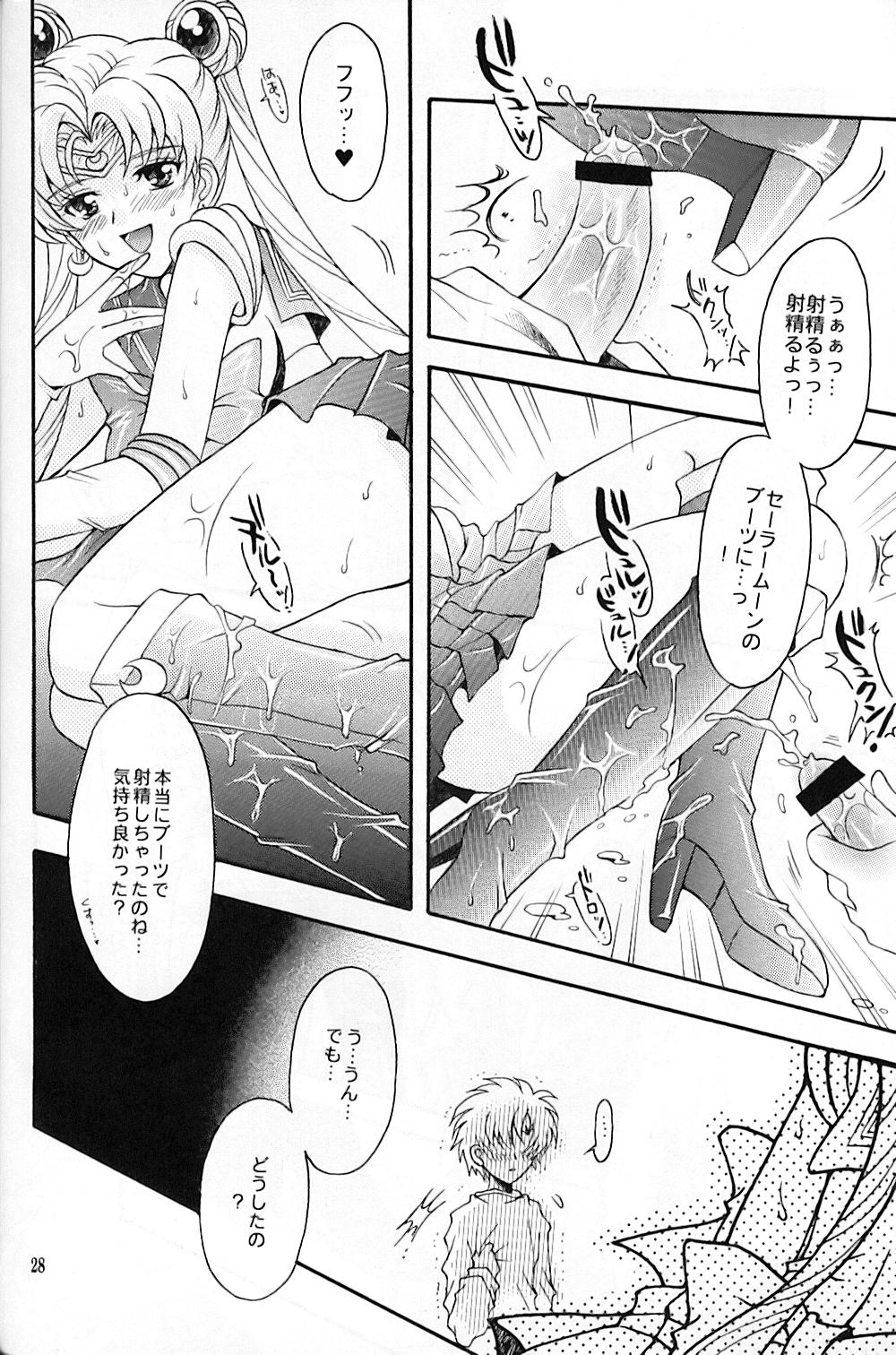 (C67) [Kotori Jimusho (Sakura Bunchou)] chanson de I'adieu (Sailor Moon) page 29 full