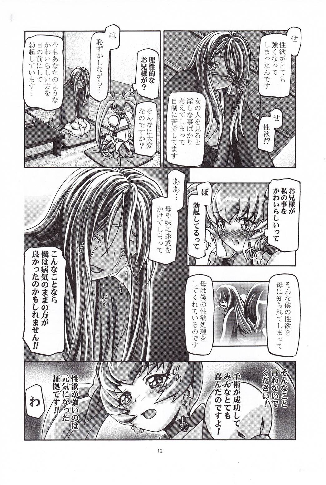 (C79) [Gambler Club (Kousaka Jun)] Myodouinge no Katei no Jijou (Heartcatch Precure!) page 11 full