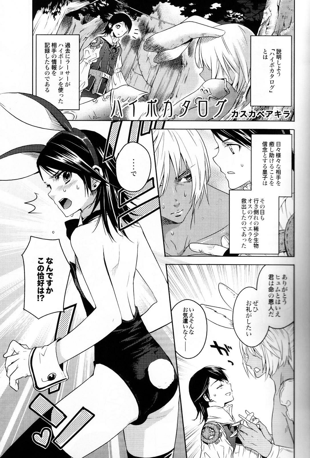 (C73) [EGOISM (Kasukabe Akira, Torigoe Yayoi)] Hypo Catalog (Final Fantasy XII) page 4 full