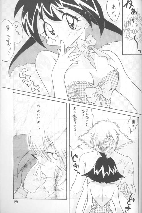 [Ginmomodou (Mita Satomi)] Slayers Adult 4 (Slayers) page 28 full