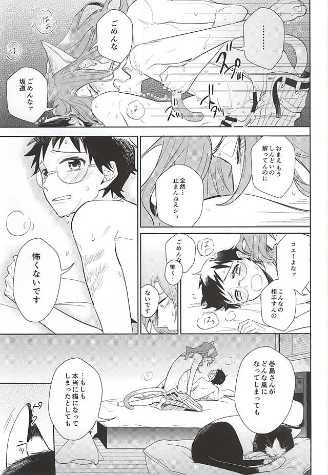 (C88) [DAIRA (Himeno)] Makishima-san ga Neko ni Natteshimaimashita. (Yowamushi Pedal) page 22 full