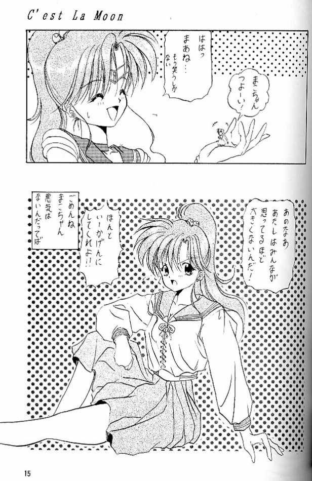 (C45) [Chou-Cream-Sunday (Minakami Hiroki)] C'est La Moon (Bishoujo Senshi Sailor Moon) page 14 full