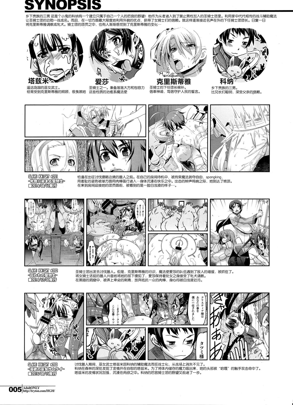 (C89) [HGH (HG Chagawa)] Slave Knight #204 ~Ubawareta Seikishi~ [Chinese] [脸肿汉化组] page 5 full