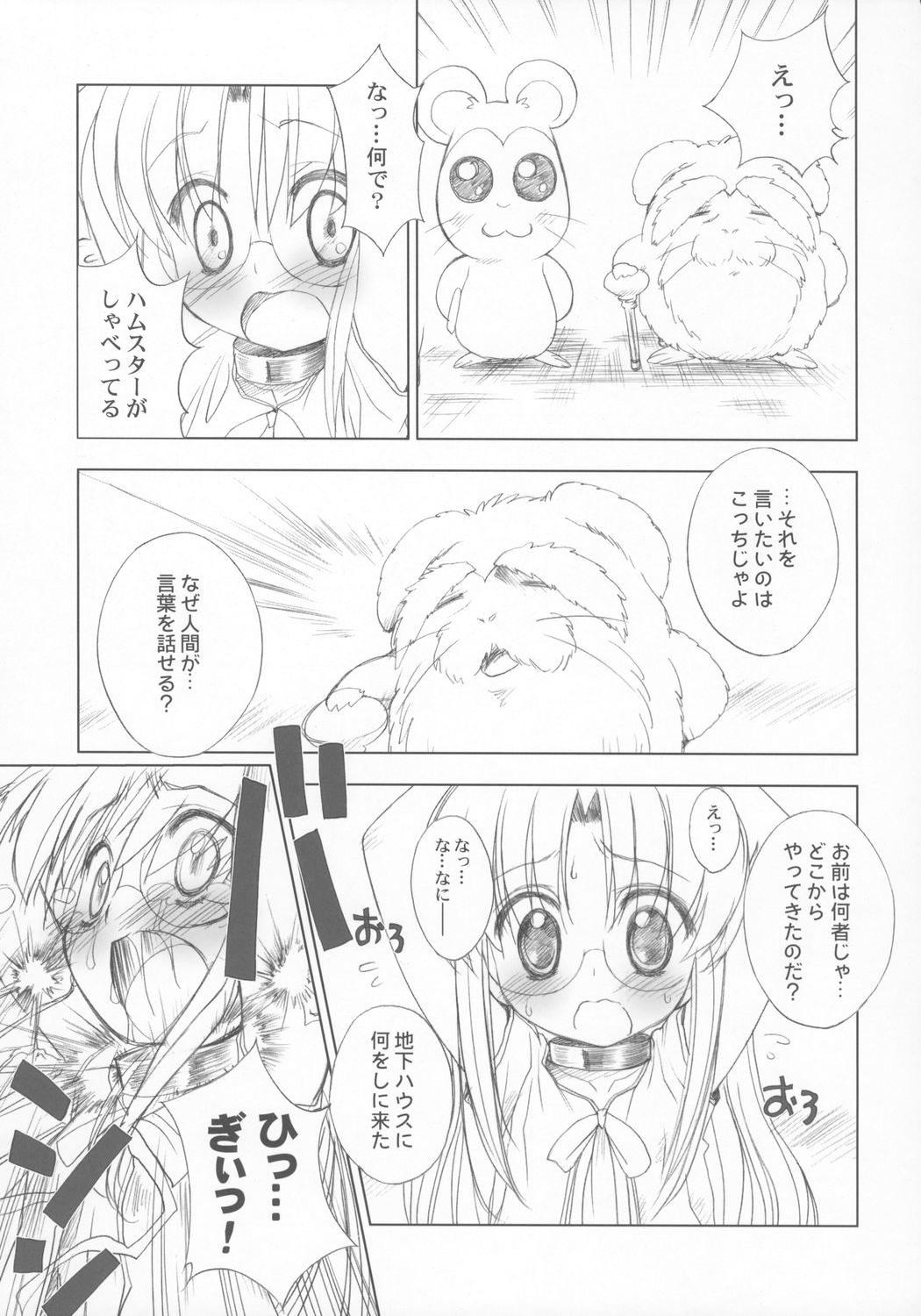 (C71) [Furaipan Daimaou (Chouchin Ankou)] ANOTHER OF THE PLANET OF THE HAMS (Hamtaro) page 6 full