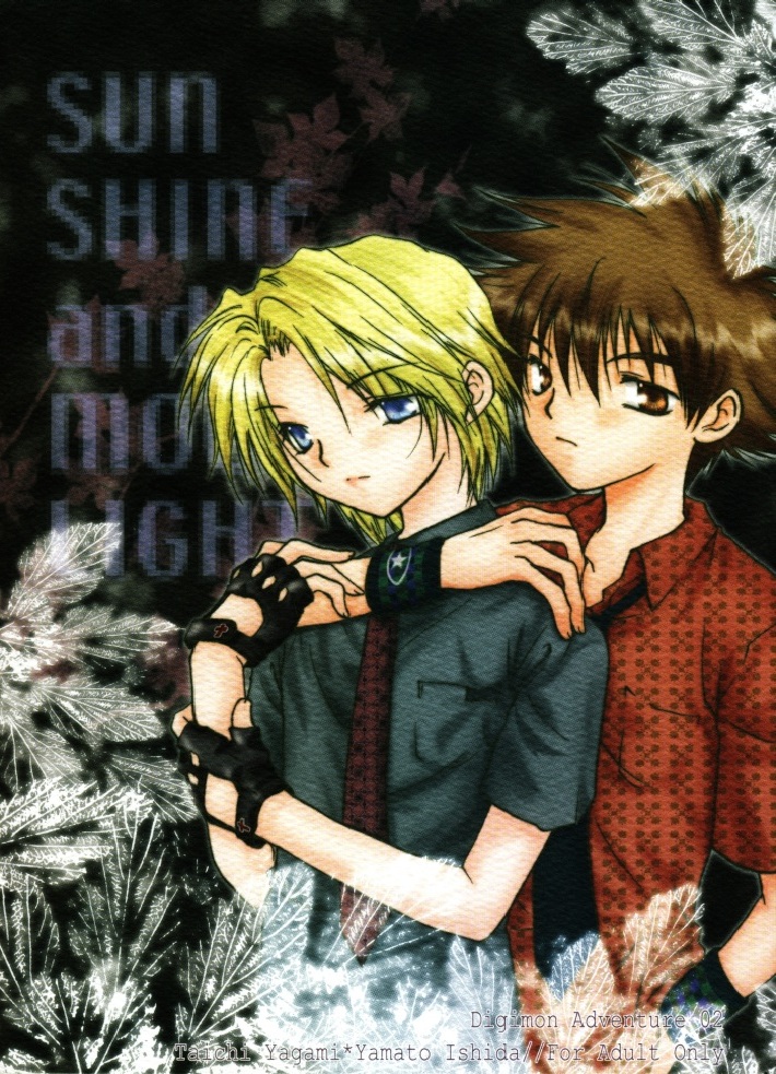 (SUPERKansai8) [SECTION E (Hirose Yukiya)] SUNSHINE and MOONLIGHT (Digimon Adventure 02) page 1 full
