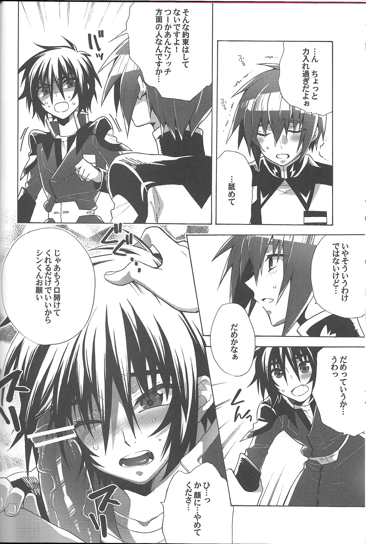 [sachi-machi (Shiina Ayumi)] Hanpirei Koufukuron - Happiness to be inversely proportional to (Gundam Seed Destiny) page 10 full