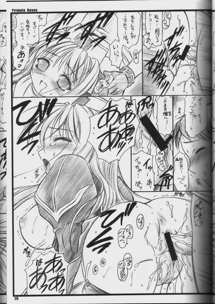 (C65) [Yakan Hikou (Inoue Tommy)] PRIMULA Rosea (Ragnarok Online) page 28 full