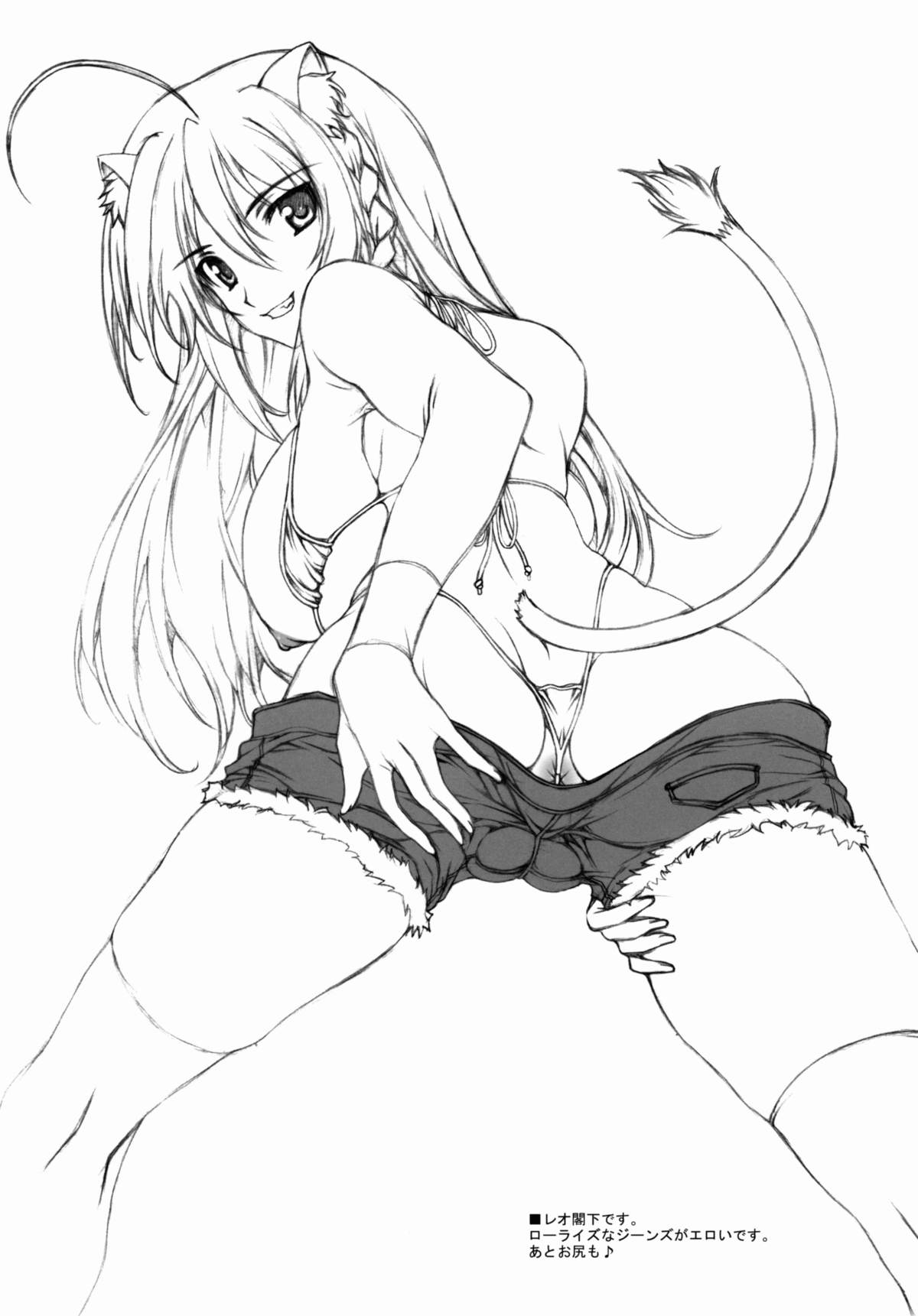 (C80) [BRIEST (Yatsushima Tetsuya)] DDR/01 (DOG DAYS) page 3 full