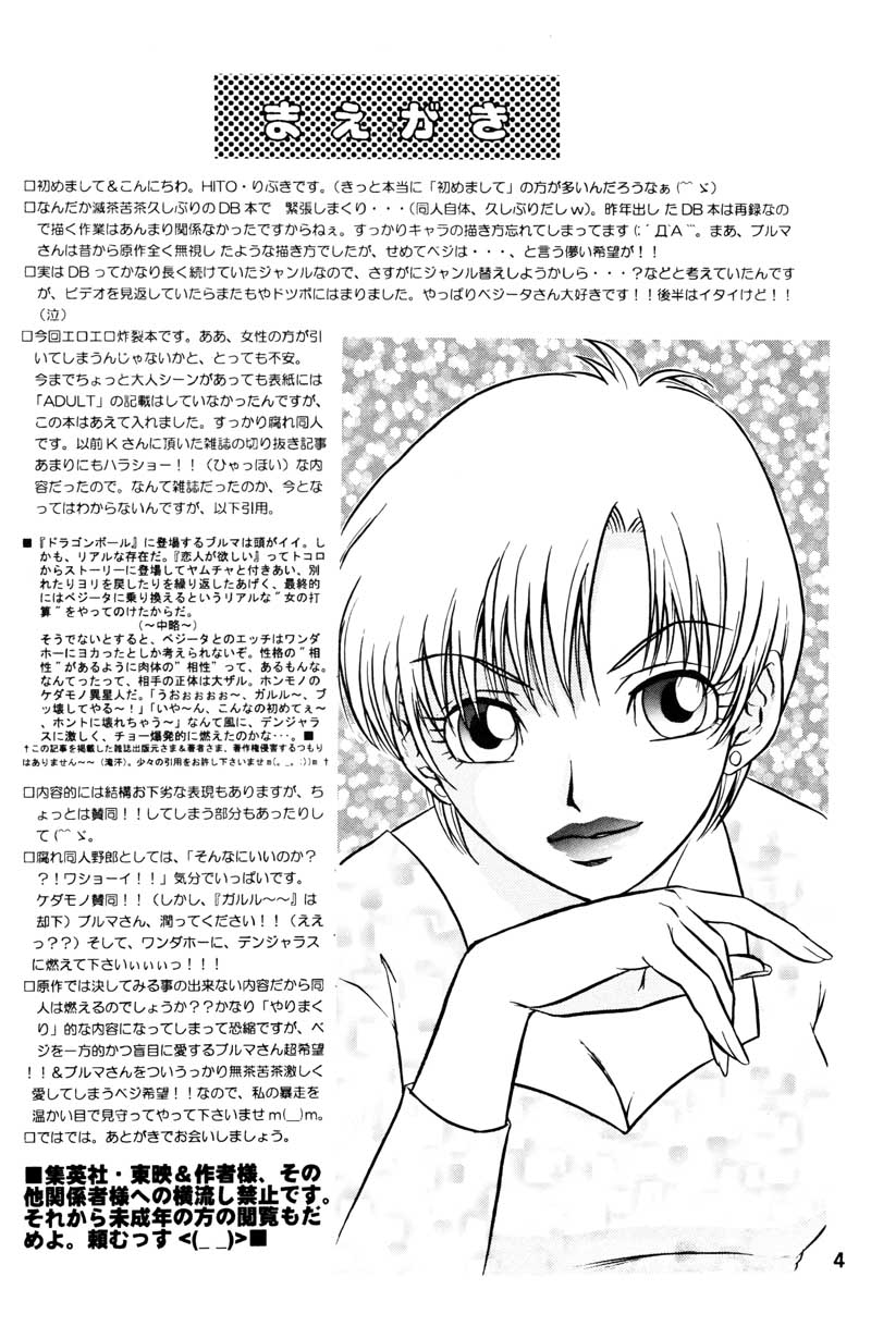 (C63) [Ryujin-kai (HITO Ribuki)] GIFT (Dragon Ball Z) page 3 full