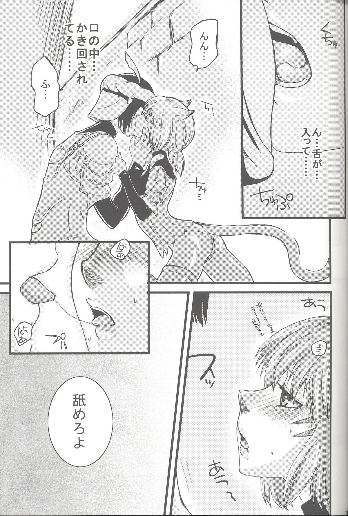 (C72) [Queen Of VANILLA (Tigusa Suzume)] Mihli (Final Fantasy XI) page 10 full