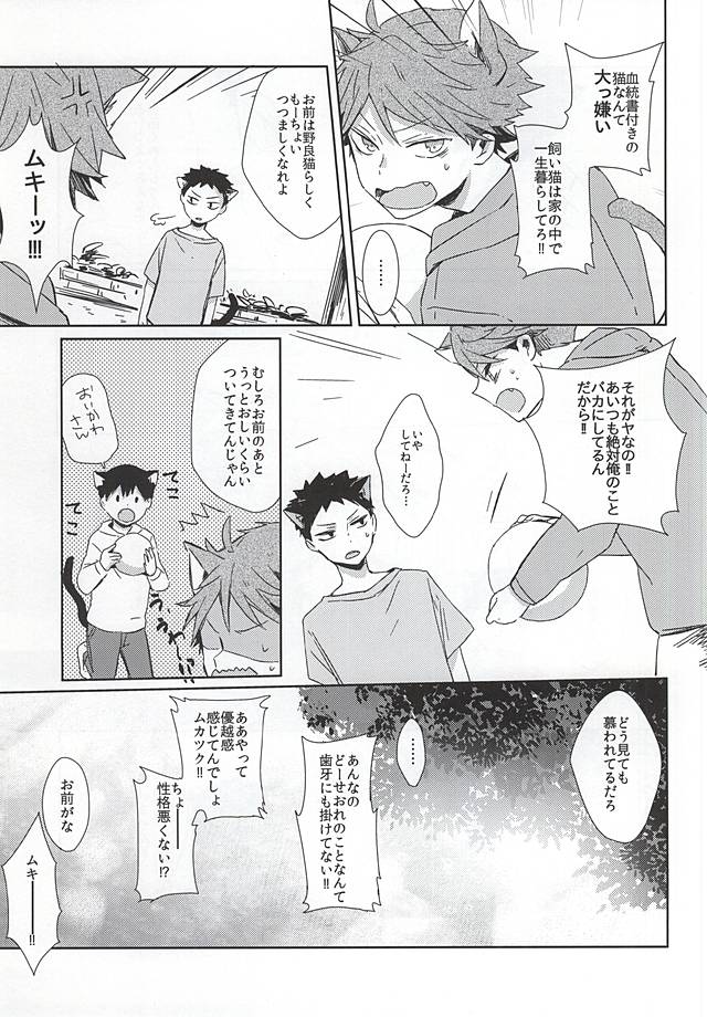 (RTS!!5) [Shounen-H (Yuuki)] Neko ni Natta Oikawa-san (Haikyuu!!) page 4 full