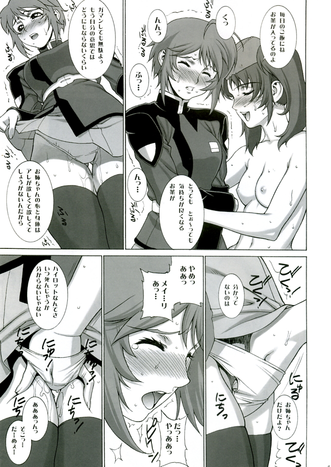 (C68) [Motchie Oukoku (Motchie)] Gekkan Lunamaria (Gundam SEED DESTINY) page 11 full