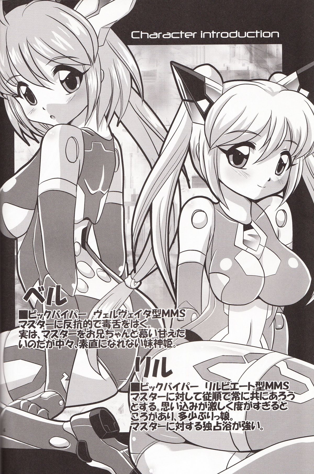 (C84) [Misuterutein (Oborogumo Takamitsu)] VH2 (Busou Shinki) page 3 full