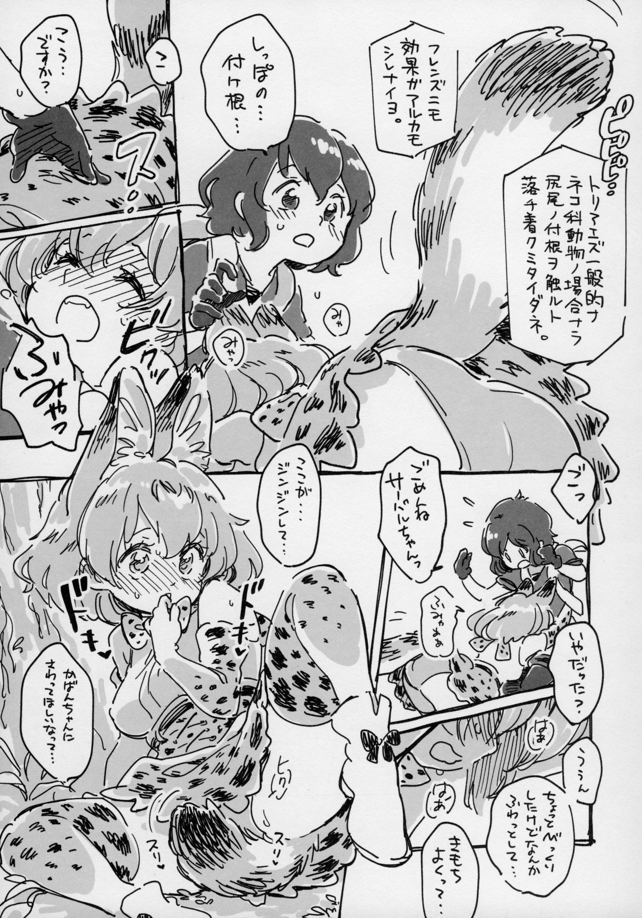 (Japariket 3) [Sarasara Chazuke (Various)] Yuri Ecchihou (Kemono Friends) page 18 full