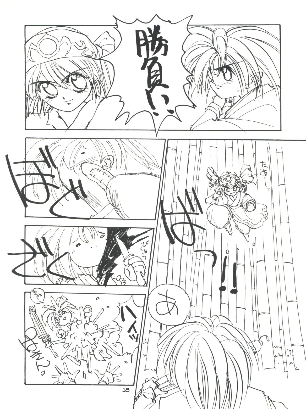 (C49) [HEALTHY PRIME (Bloomer Hogero)] Marble Image Revolution (Magic Knight Rayearth, Samurai Spirits) page 17 full